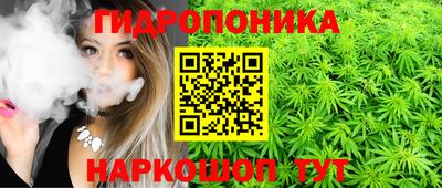 дурь Гусь-Хрустальный