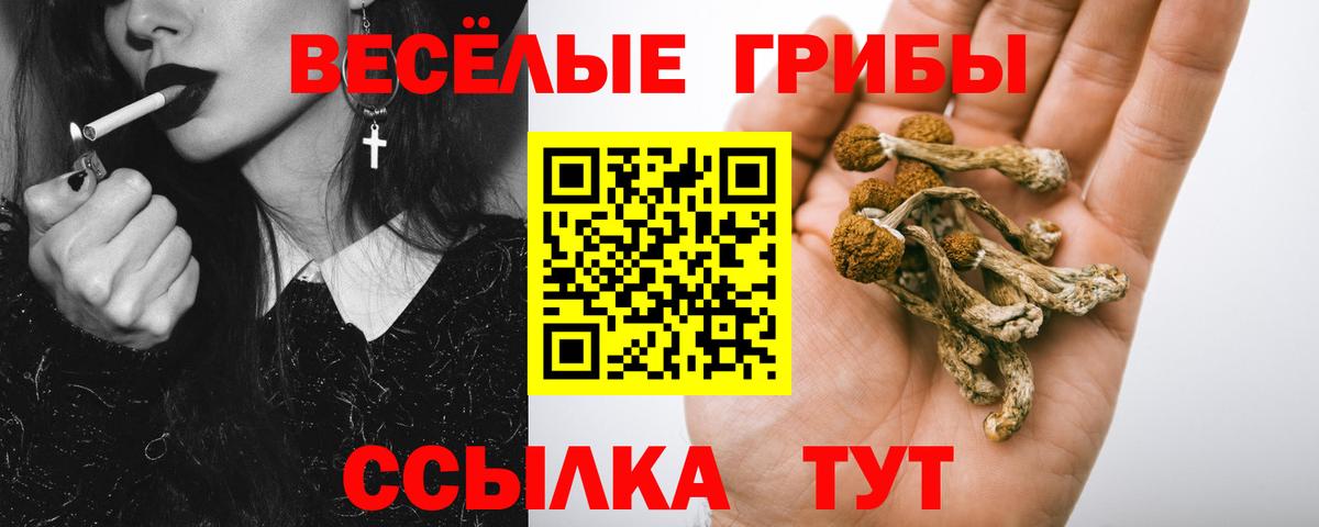 Псилоцибиновые грибы Magic Shrooms Краснокаменск
